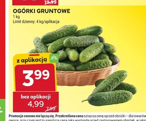 Ogórki gruntowe promocja w Stokrotka