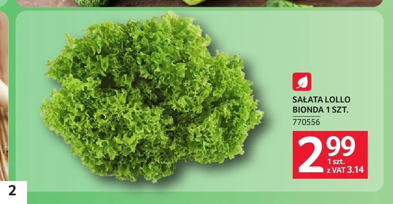 Sałata Lollo Bionda promocja w Selgros