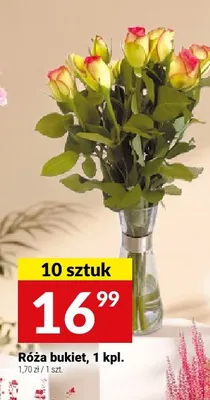 Róża bukiet promocja w Twój Market