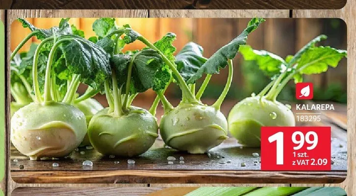 Kalarepa promocja w Selgros