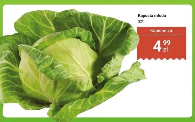 Kapusta młoda promocja w Dino