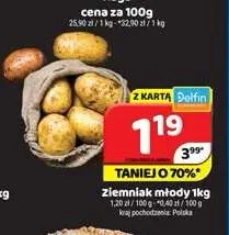 Ziemniak młody promocja w Delfin