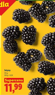 Jeżyny promocja w Lidl
