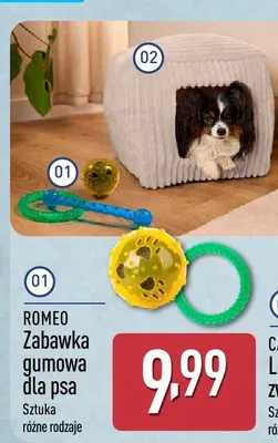 Legowisko dla zwierząt promocja w Aldi