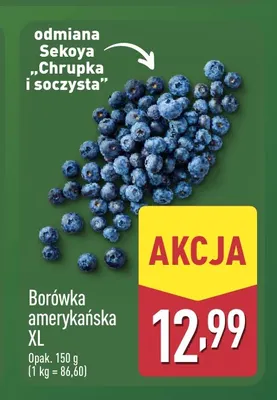 Borówka amerykańska XL promocja w Aldi