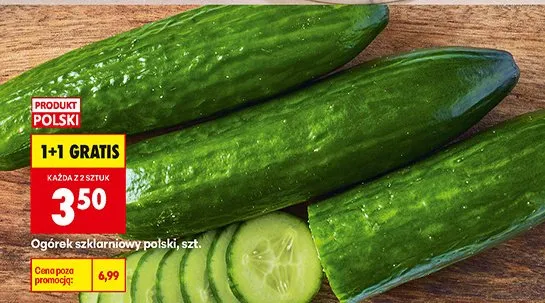 Ogórek szklarniowy polski promocja w Biedronka