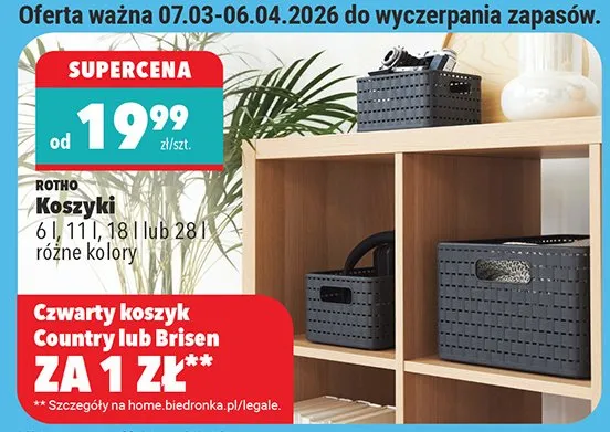 Koszyki 6 l, 11 l, 18 l lub 28 l różne kolory promocja w Biedronka