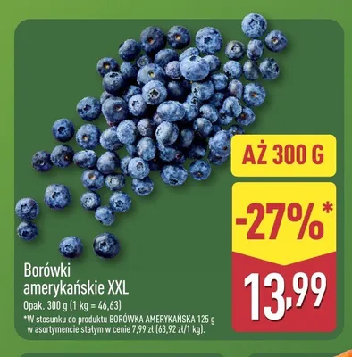 Borówki amerykańskie XXL promocja w Aldi