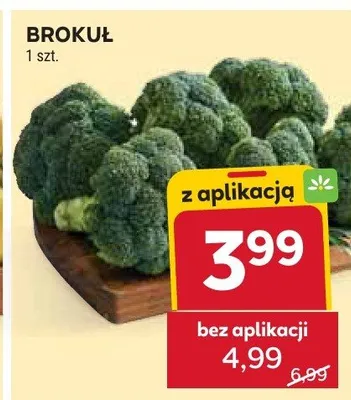 Brokuł promocja w Stokrotka
