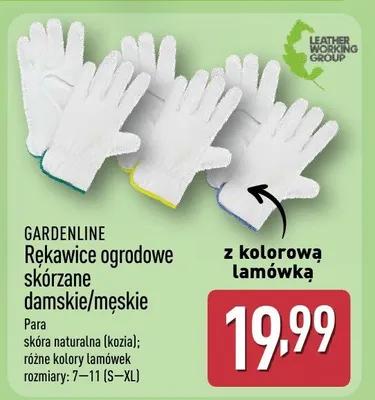 Rękawice ogrodowe skórzane damskie/męskie promocja w Aldi