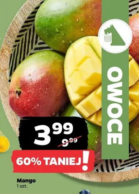 Mango promocja w Netto