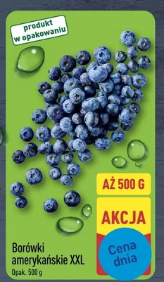 Borówki amerykańskie XXL promocja w Aldi