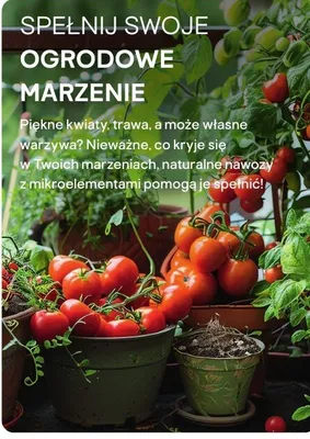 Uprawa, strona 47 promocja w Castorama