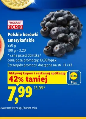 Borówki amerykańskie polskie promocja w Lidl