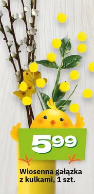 Wiosenna gałązka z kulkami promocja w Twój Market