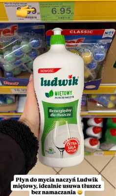 Płyn do mycia naczyń miętowy promocja w Dino