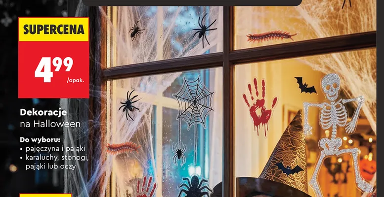 Dekoracje na Halloween stonogi promocja w Biedronka