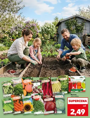 Nasiona różne rodzaje promocja w Kaufland