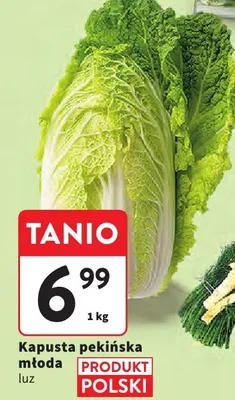 Kapusta pekińska młoda luz promocja w Intermarche
