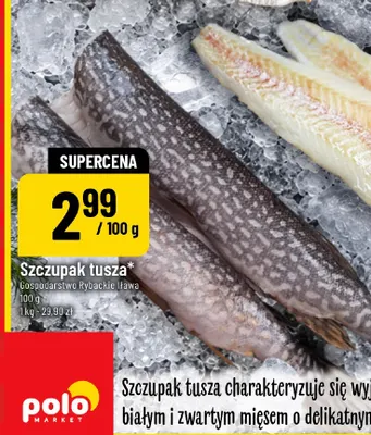 Szczupak tusza promocja w POLOmarket