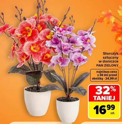 Storczyk sztuczny w doniczce Pan Zielony promocja w Carrefour