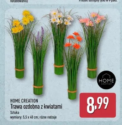 Trawa ozdobna z kwiatami HOME CREATION promocja w Aldi