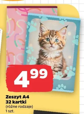Zeszyt A4 32 kartki Herlitz promocja w Netto
