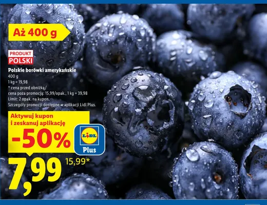 Polskie borówki amerykańskie promocja w Lidl