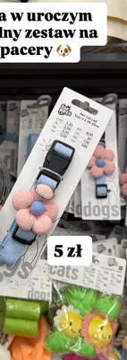 Obroża dla psa z ozdobą promocja w Pepco