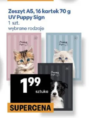 Zeszyt A5 16 kartek 70 g UV Puppy Sign promocja w Delikatesy Centrum