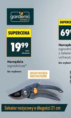 Sekator nożycowy o długości 21 cm promocja w Biedronka