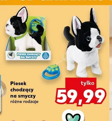 Piesek chodzący na smyczy promocja w Kaufland
