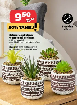 Sztuczne sukulenty w ozdobnej doniczce promocja w Netto