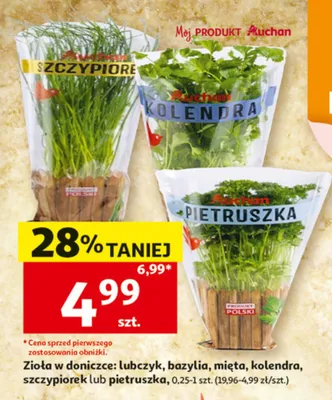 Zioła w doniczce mięta Auchan promocja w Auchan
