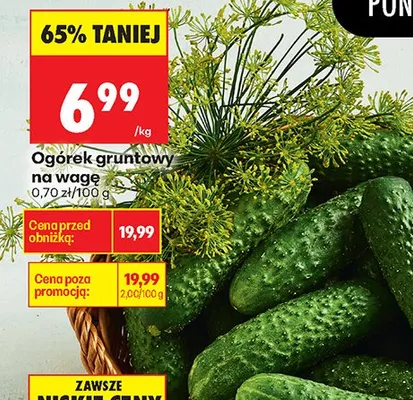 Ogórek gruntowy na wagę promocja w Biedronka