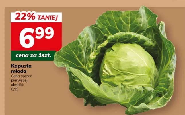 Kapusta gołąbkowa promocja w Hitpol