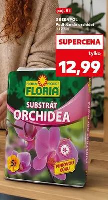 Podłoże do orchidei GREENPOL promocja w Kaufland
