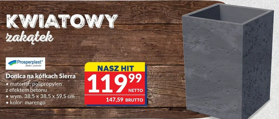 Donica na kółkach Sierra materiał: polipropylen z efektem betonu wym. 38,5 x 38,5 x 59,5 cm kolor: marengo promocja w Makro