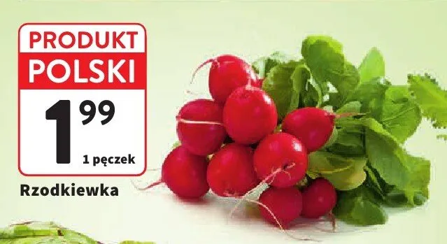 Rzodkiewka polska promocja w Intermarche