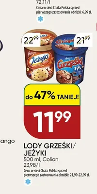 Lody Jeżyki promocja w Chata Polska