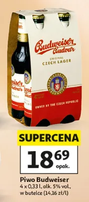 Piwo Budweiser Budvar Original promocja w Auchan
