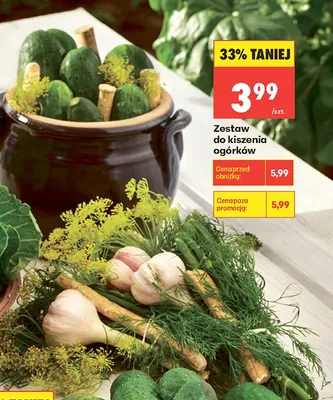 Zestaw do kiszenia ogórków promocja w Biedronka