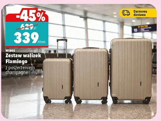 Zestaw walizek Flamingo z poszerzeniem champagne promocja w Biedronka Home
