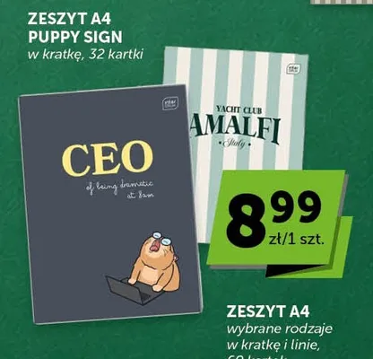 Zeszyt A4 CEO w kratkę i linie 60 kartek Interdruk promocja w Groszek