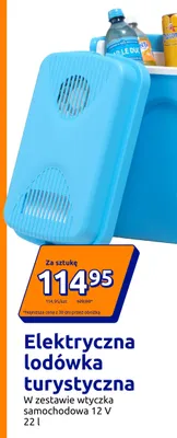 Elektryczna lodówka turystyczna 22 l promocja w Action