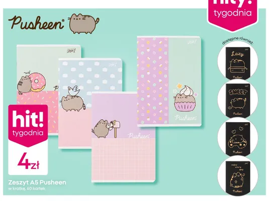 Zeszyt A5 Pusheen w kratkę 60 kartek promocja w Pepco