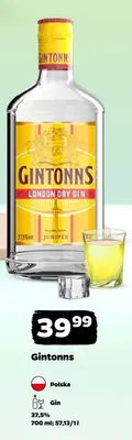 Gin London Dry promocja w Netto