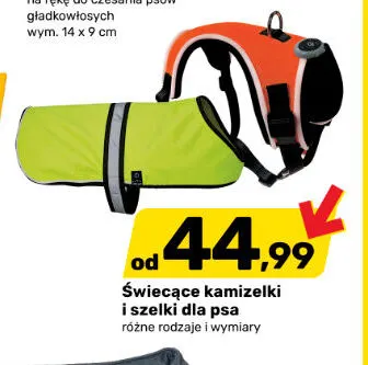 Świecące kamizelki dla psa promocja w Bricomarche