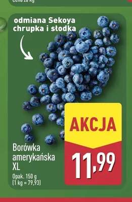 Borówka amerykańska XL promocja w Aldi