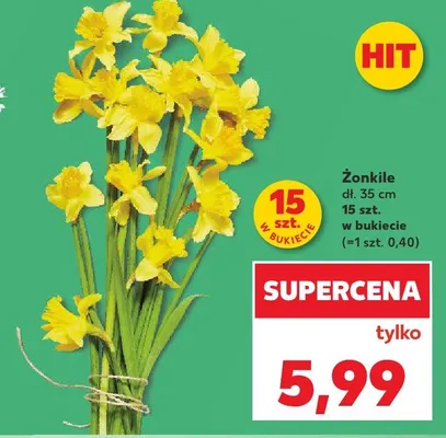 Żonkile dł. 35 cm promocja w Kaufland